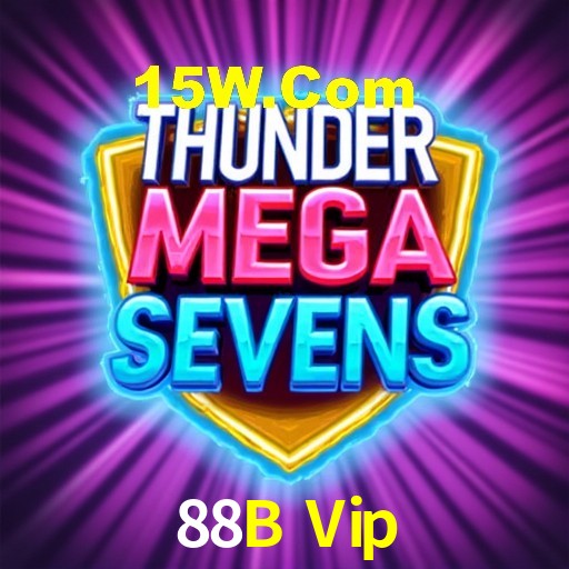 Interface Premium 88B Vip